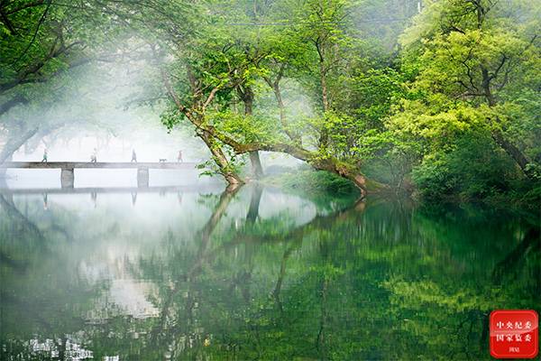 镜头｜绿水青山生态美