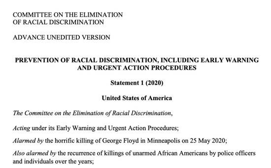 联合国消除种族歧视委员会声明截图。