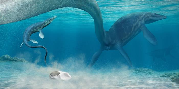 南极洲发现的巨型蛋化石可能是6600万年前海洋爬行动物沧龙所产