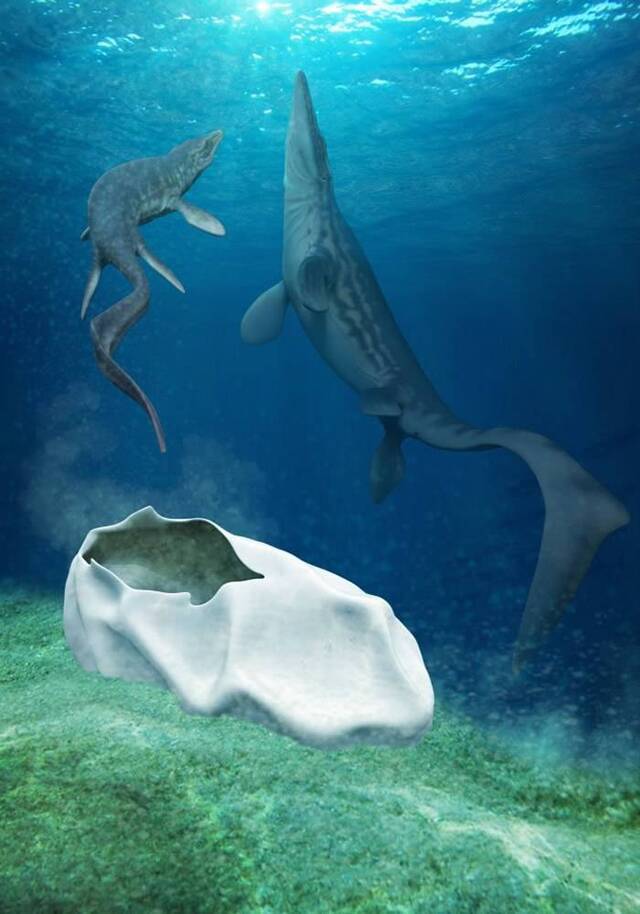 南极洲发现的巨型蛋化石可能是6600万年前海洋爬行动物沧龙所产