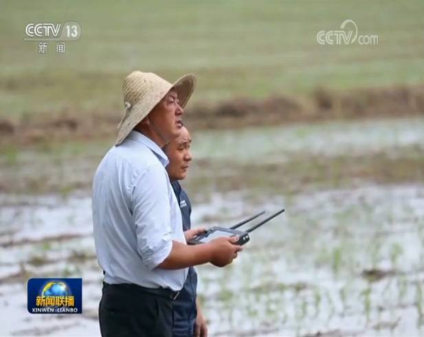 全国夏粮播种已过八成 力促稳产提质