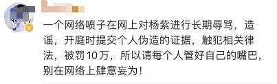 公安章都敢造？杨紫名誉权侵害案，被告被罚10万！