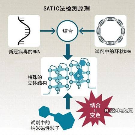 “SATIC法”快速检测新冠病毒流程示意图（《日本经济新闻》网站）