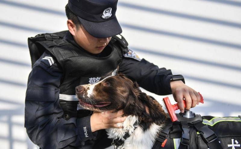 乘风破浪吧！缉毒小英雄！