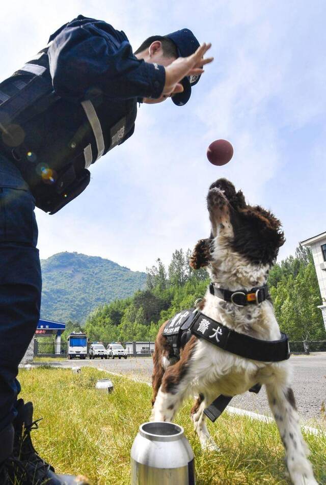 乘风破浪吧！缉毒小英雄！