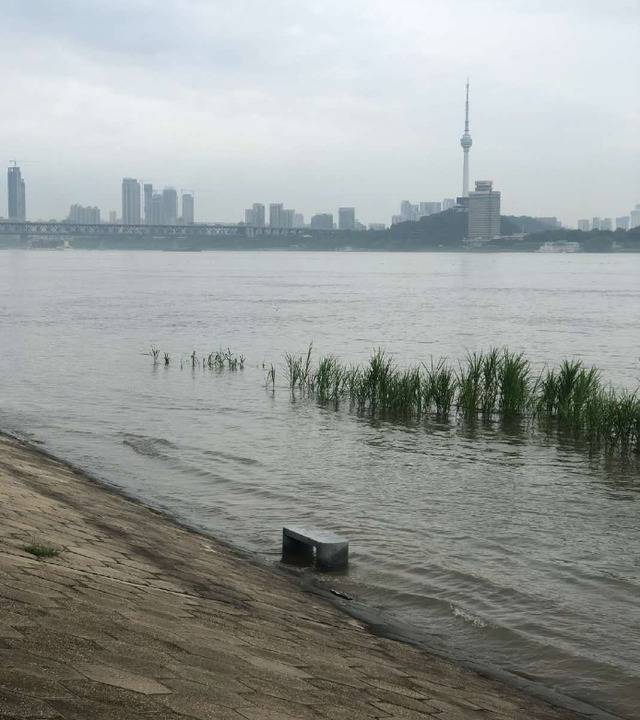 湖北一地暴雨袭城！女司机被困车内交警砸窗救人