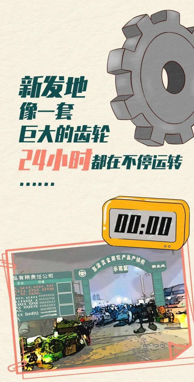 一图看懂：新发地到底有多大多复杂？