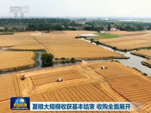 夏粮大规模收获基本结束收购全面展开