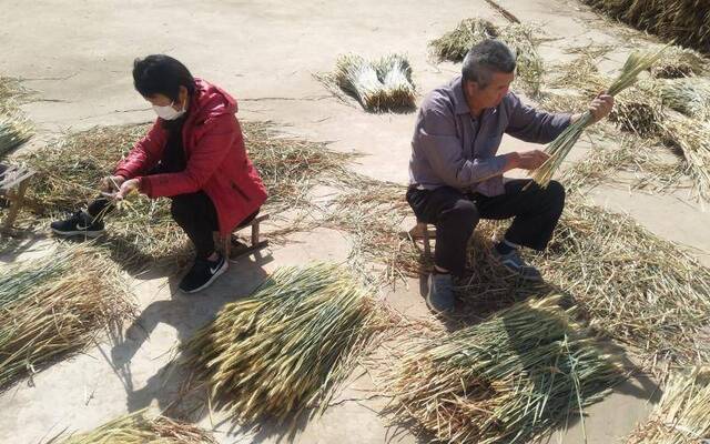 河南村民小麦收完不当粮食卖 经过3轮浸泡制成“干花”