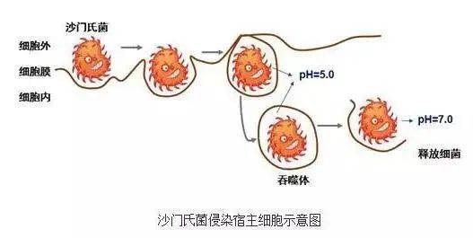 一场喜酒，18个亲戚，半条命差点没了