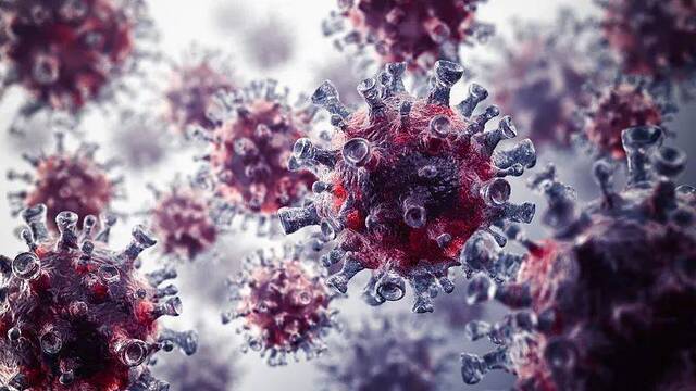 英国专家：巴塞罗那的病毒发现动摇新冠病毒流行假设