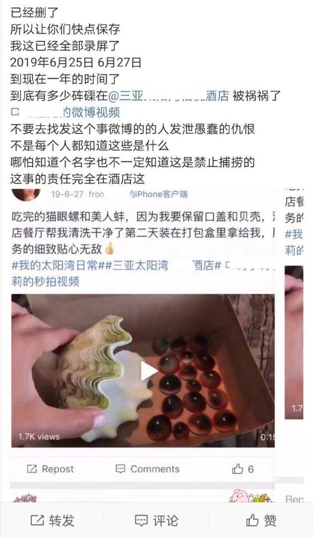 陈学冬曝光三亚某酒店非法捕捞