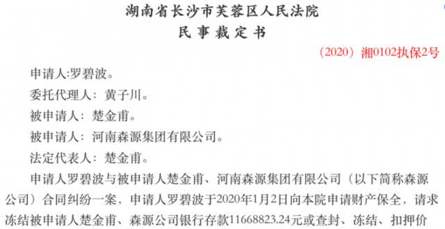 森源集团怎么了？ 国资驰援后仍现冻结风波 业绩连下滑