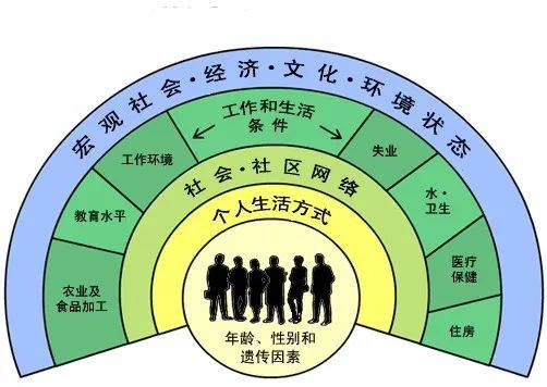 健康的社会决定因素。