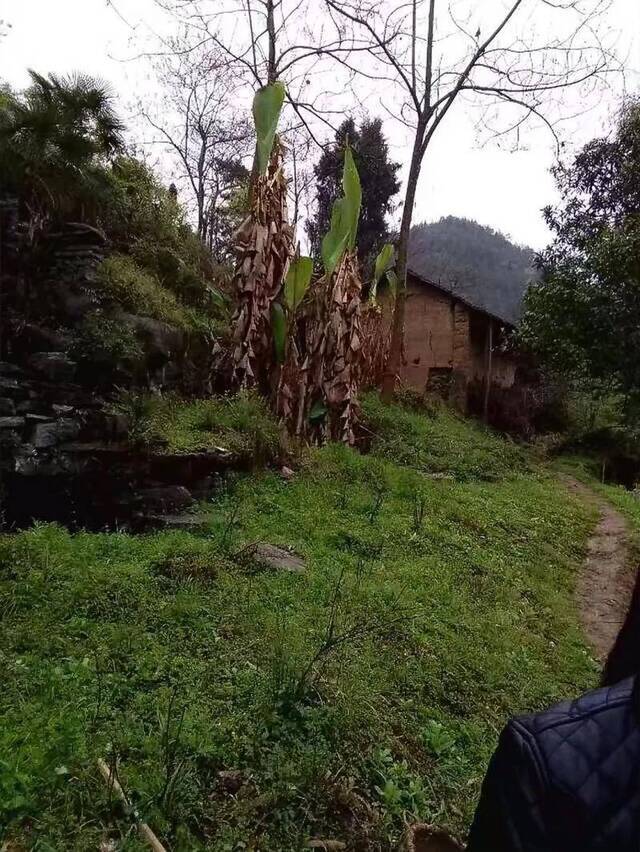 马泮艳在巫山的旧居。图/由受访者提供