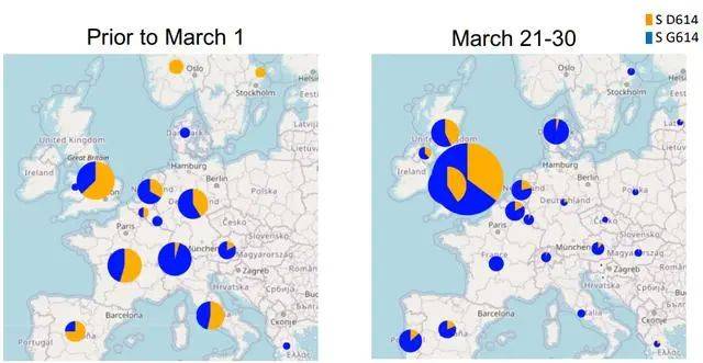 变异毒株的全球分布情况。来源：Cell