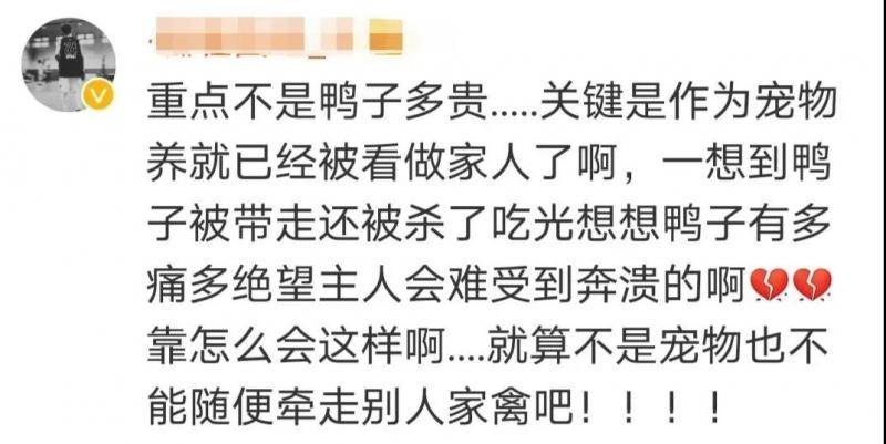 明星微博寻鸭网友为这些事吵翻了法律解读来了