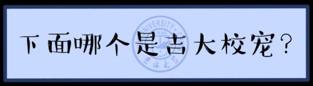 请回答 · 吉林大学  你的毕业考卷已送达