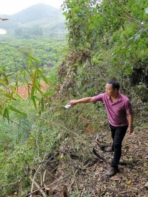 浙江千名地质队员“驻县进乡” 专业服务为群众筑牢安全防线