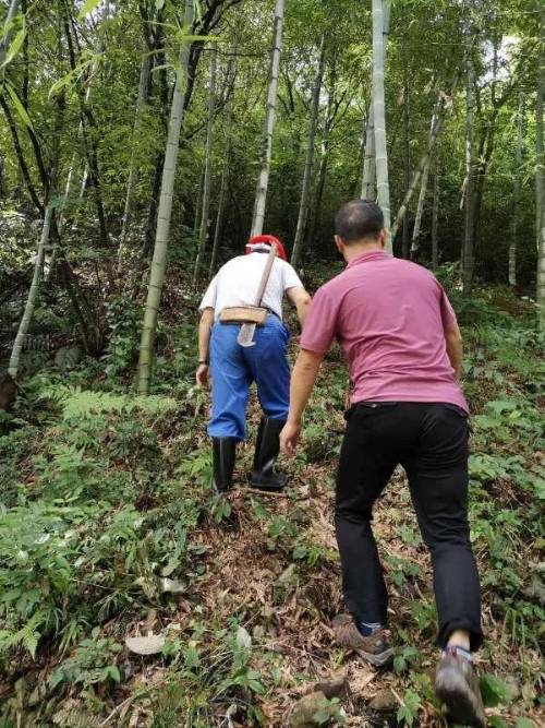 浙江千名地质队员“驻县进乡” 专业服务为群众筑牢安全防线