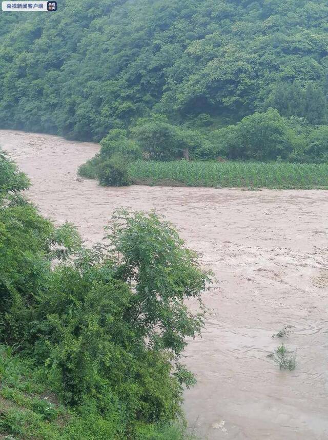 重庆14个区县降暴雨、大暴雨 2河流超警戒水位