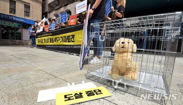 韩国动保人士摆出小狗玩偶，要求关停七星市场狗肉店。（纽西斯通讯社）