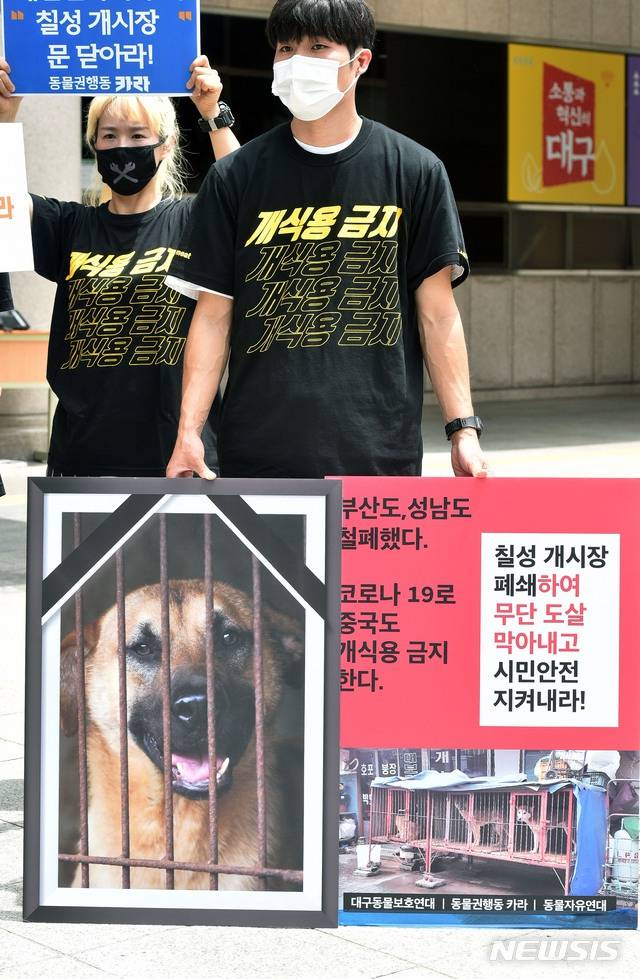 韩国动保人士6日在大邱市政府前示威。（纽西斯通讯社）