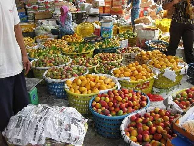 小暑开启芒果季 但“芒果之乡”最有名的品种今年要减产