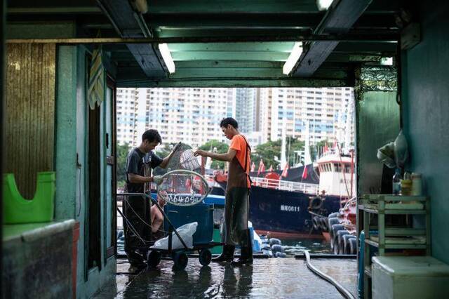 香港仔渔市又热闹了，“肥婆海鲜“复工记