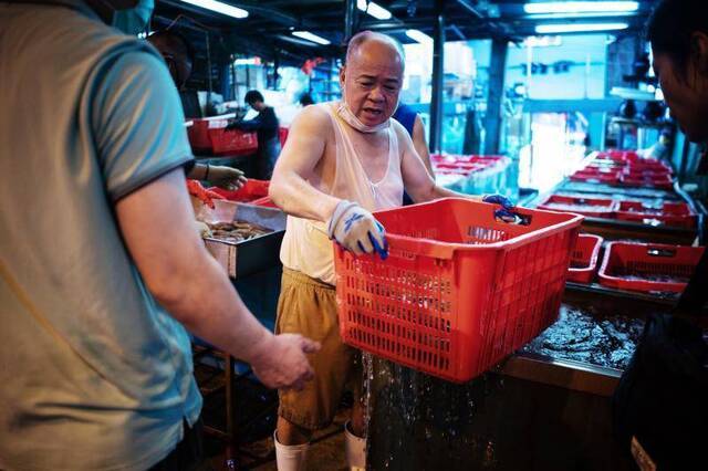 香港仔渔市又热闹了，“肥婆海鲜“复工记