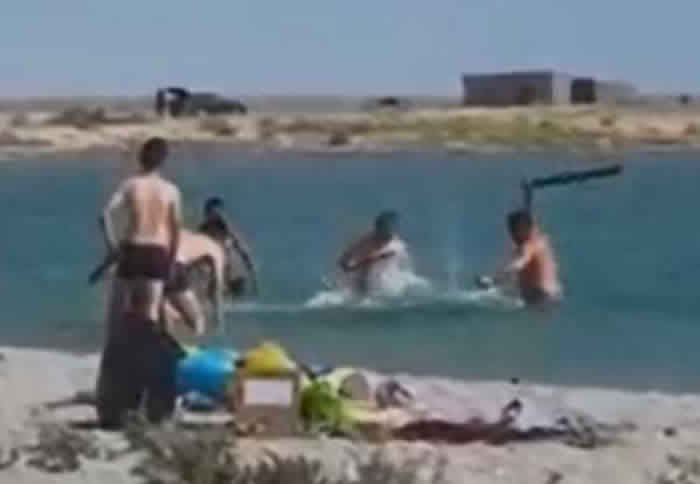 哈萨克斯坦城镇库里克游客到海边游玩为让孩子拍照竟拿起棍棒与石头将海豹打昏