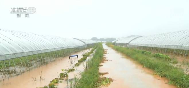 江西：农作物因雨受损严重 当地组织救灾