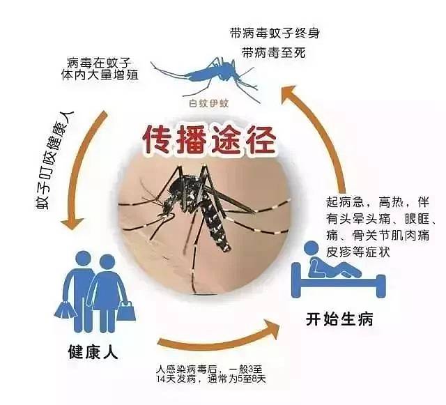 预防登革热！江苏句容出现1例登革热病例