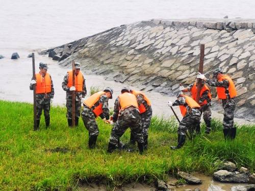 防汛防台形势严峻，上海6个区民兵应急分队同步开展这项行动