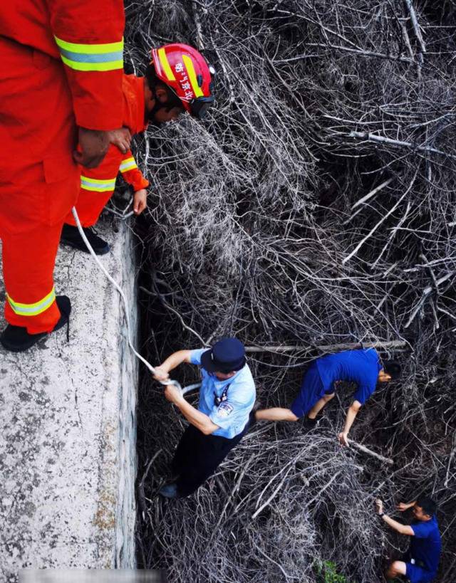 老两口爬山迷路却受困深山峭壁