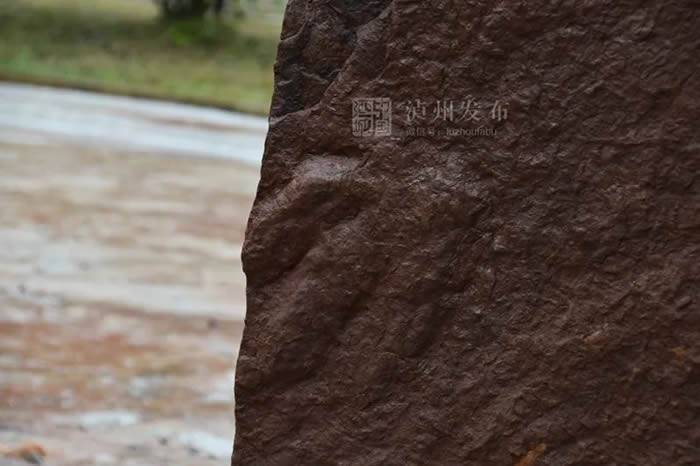 四川泸州古蔺村民清理河道发现神秘脚印化石专家：或为白垩纪中期实雷龙足迹