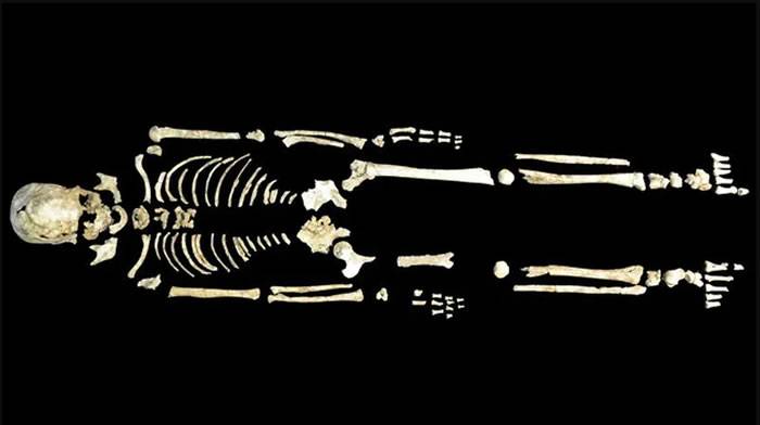 福建省奇和洞考古遗址出土的一具迄今8400年的骨架。来源：吴秀杰/中国科学院古脊椎动物与古人类研究所