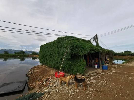 警车路过肯德基时 逃犯嘟囔了一句：我想吃汉堡