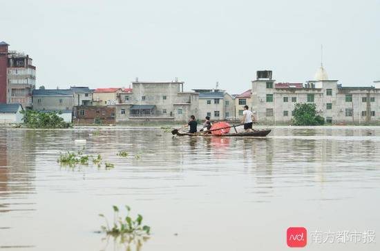 7月11日，江西鄱阳县油墩街镇，不少房子被洪水侵袭。