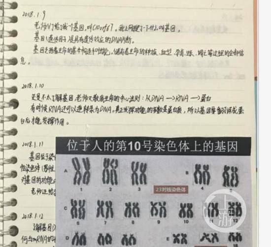 ▲陈某石同学基因实验报告中的相关实验纪录。图片来源/全国青少年科技创新大赛官网