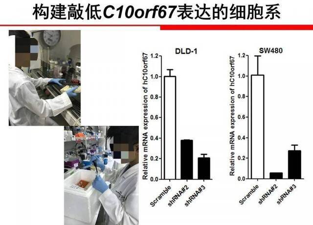 “小学生凭基因研究获大奖”，有多少博士父母的“功劳”