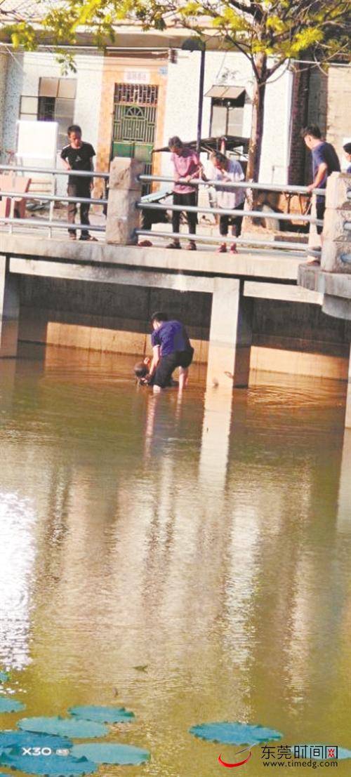 东莞正能量｜辅警下班途中勇救落水老人