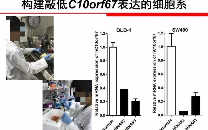 全国青少年科技创新大赛官网截图。