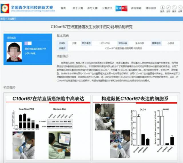 相关研究项目（图源：全国青少年科技创新大赛官网）