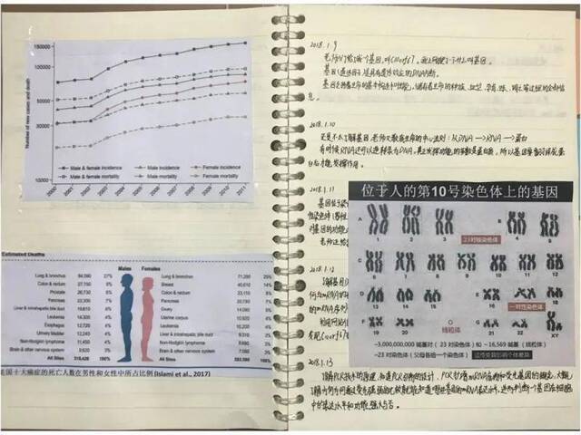 陈同学的实验记录本（图源：澎湃新闻）