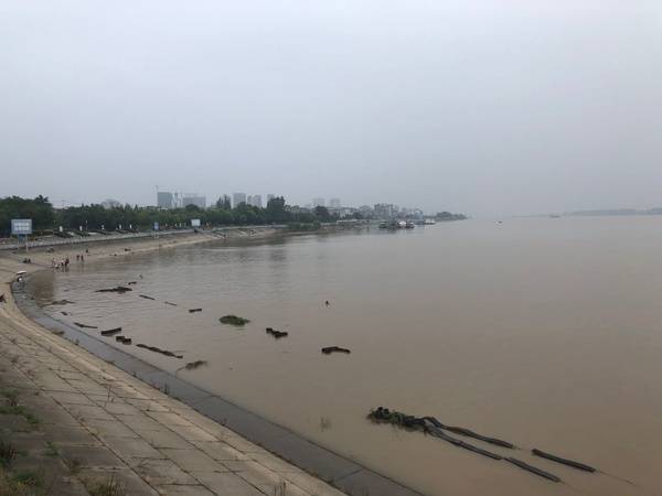 最近三天，荆州市区没有下雨，长江水位也有所回落。本文图片均为澎湃新闻记者陈绪厚图