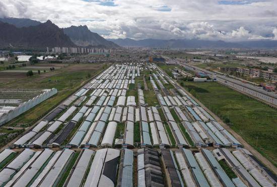 拉萨堆龙德庆县羊达乡无公害蔬菜基地项目，是整合北京市援藏资源、资金实施的一项促进农牧民增收、农牧业增效，辐射带动力强的民生项目。和冠欣摄