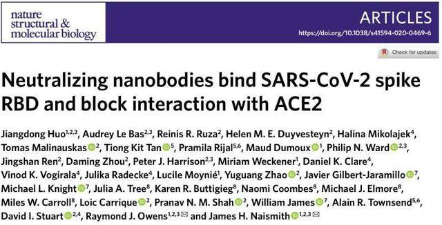 牛津大学：源自大羊驼的两种纳米抗体可中和新冠病毒
