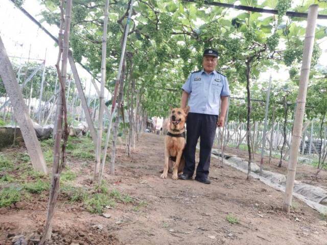 白雁和警犬在辖区陆家浦村巡逻