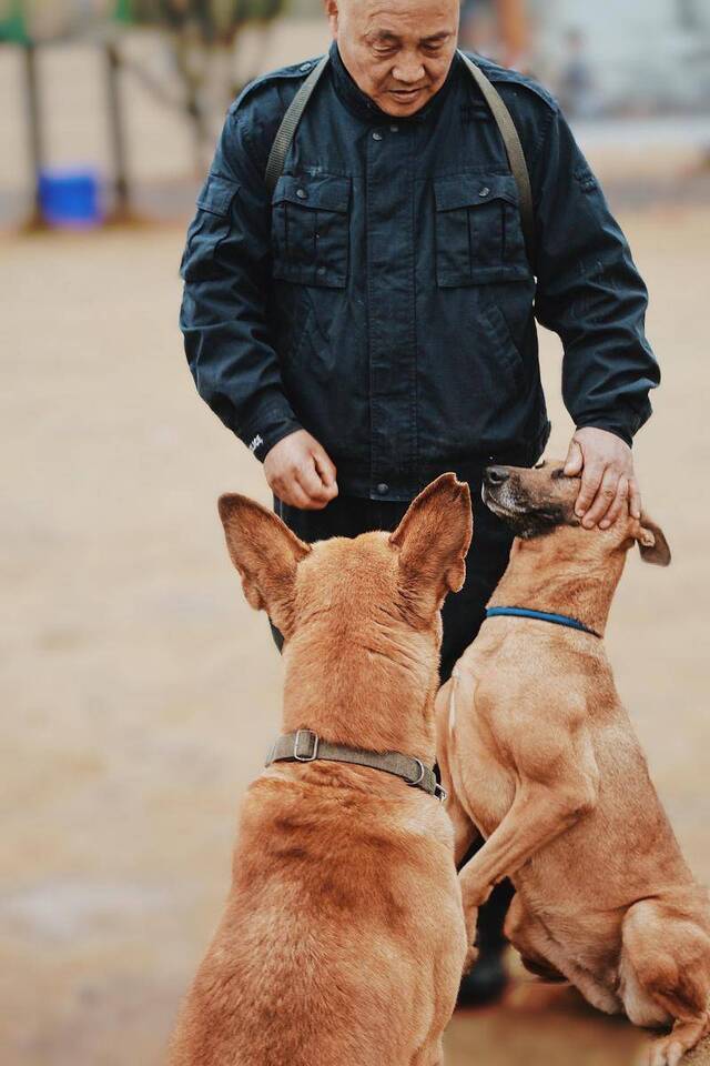 退役警犬养老院的一场“婚礼”